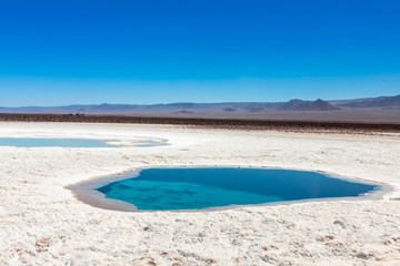 Hidden lagoon Baltinache (Lagunas escondidas Baltinache) Atacama Desert, Chile