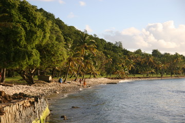 tropical beach in thailand