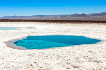 Hidden lagoon Baltinache (Lagunas escondidas Baltinache) Atacama Desert, Chile