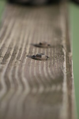 close up of an old rusty bolt