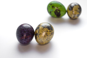 Easter multicolored quail spotted eggs lie on a white background