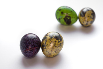 Easter multicolored quail spotted eggs lie on a white background