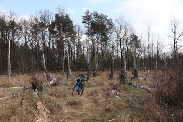 Turystyka rowerowa © Monika