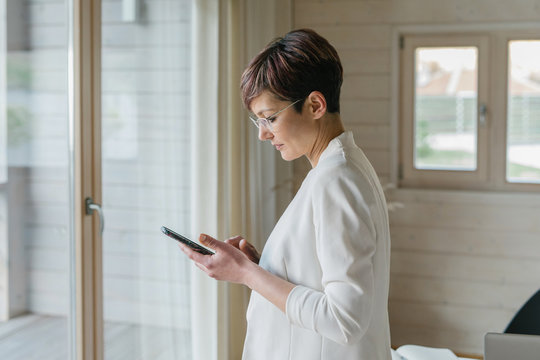Businesswoman working from home