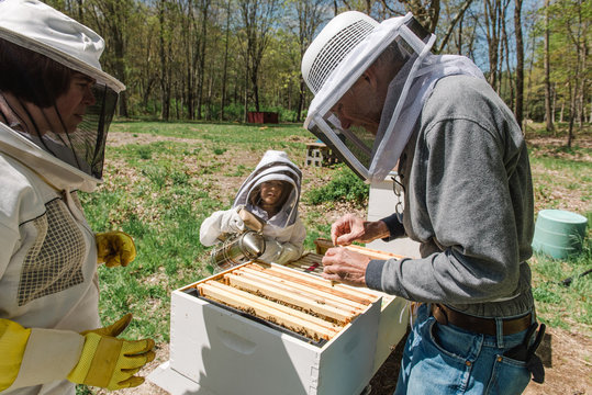 little girl observing her grandad and mother taking care of the beehive