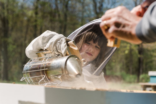 little girl putting smoke in the beehive to check on the hive