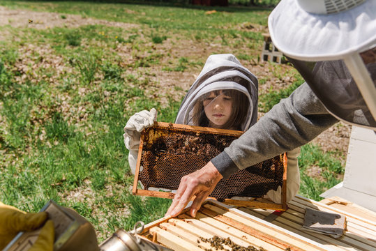 little girl observing her grandad taking care of the beehive