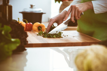 Unknown human hands cooking in kitchen. Woman is busy with vegetable salad. Healthy meal, and vegetarian food concept