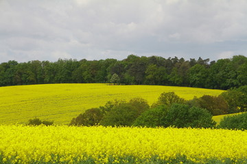 Landschaft