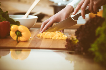 Unknown human hands cooking in kitchen. Woman slicing yellow bell pepper. Healthy meal, and vegetarian food concept