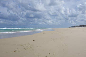 Ocean