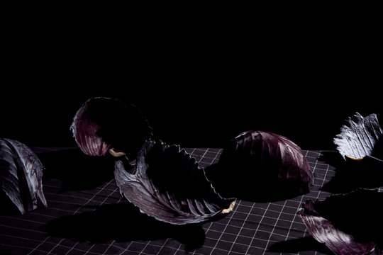 Naklejki Cabbage still life