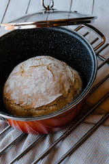A loaf of homemade no knead bread in a pot