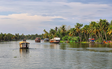 Fototapeta na wymiar Boathouses sailing in the backwaters in Allepey, Kerala, India.