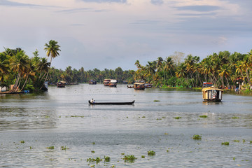 Fototapeta premium Boathouses sailing in the backwaters in Allepey, Kerala, India.