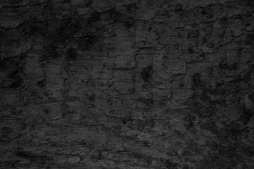 Wood Texture abstract