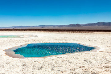 Hidden lagoon Baltinache (Lagunas escondidas Baltinache) Atacama Desert, Chile © marabelo