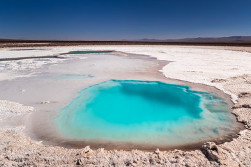 Hidden lagoon Baltinache (Lagunas escondidas Baltinache) Atacama Desert, Chile © marabelo