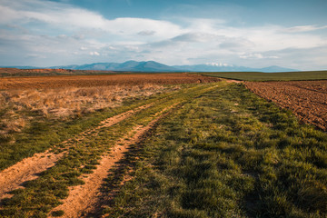 El camino rural