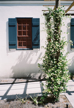 Rustic Window From A Spanish Colonial Home