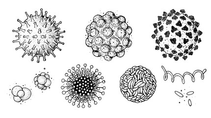Different kinds of virus, sketch collection. Hand drawn illustration, vintage engraved style. Respiratory virus infection. Corona virus. Coronavirus 2019-nCoV and other viruses. Macro drawing.