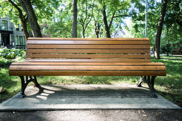 Bench in the park