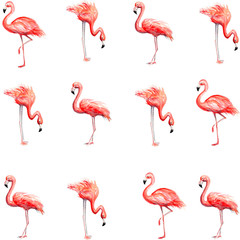 Fototapeta premium Aquarelle painting of flamingo sketch art pattern illustration