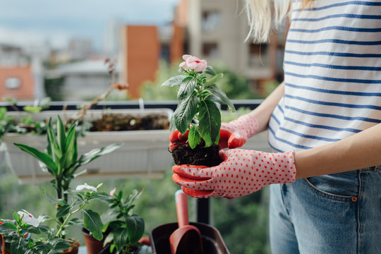 Young Woman Planting Flowers