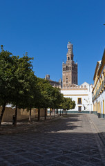 Fototapeta na wymiar Sevillan Tower on a road