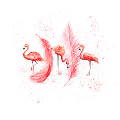 Aquarelle painting of flamingo sketch art pattern illustration