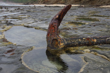 Fototapeta premium 12 apostołów