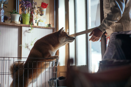 Waiting for Somebody