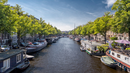 Fototapeta premium Amsterdam Canals