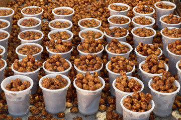 Wet tiger nuts for sale in white plastic cups.