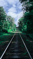 Fototapeta premium railway in the woods