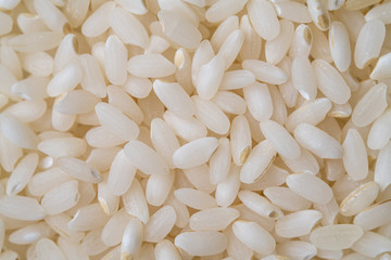 close up de granos de arroz de sushi japonica con iluminación de estudio