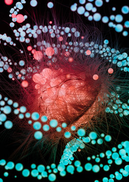 Close up of chemical particles from microscope