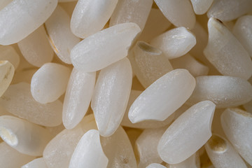 close up de granos de arroz de sushi japonica con iluminación de estudio