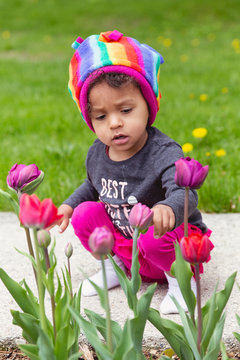 Toddler girl in rainbow coloured hat examining a garden of beautiful tulips.