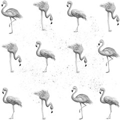 Aquarelle painting of flamingo sketch art pattern illustration