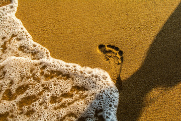 Summer. On the sandy seashore, there are human footprints.