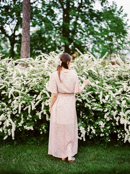 Female near spirea bush