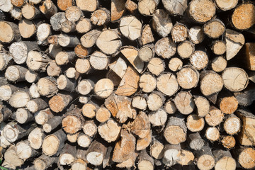 Stack of firewood