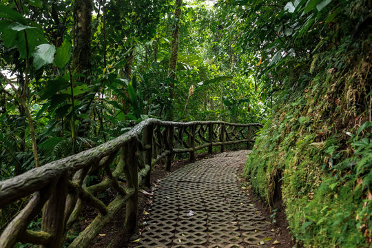 Fototapeta National Park in Costa Rica.