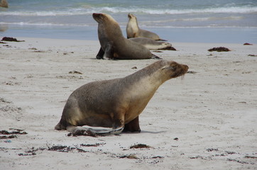 sea,