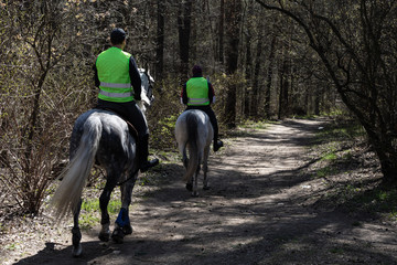 Mounted police on beautiful white horses patrol the park