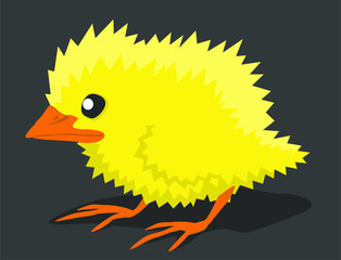 Chick Poultry Cartoon
