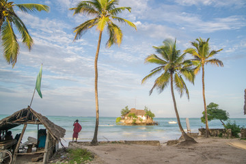 tropical beach with palm trees and small island