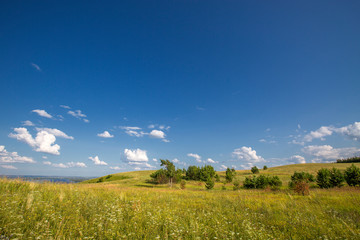 Obraz premium rare trees in a valley between hills with mowed grass