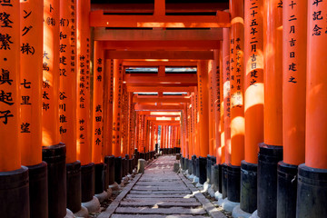 Walkway under orange wooden pillars, Kyoto, Japan